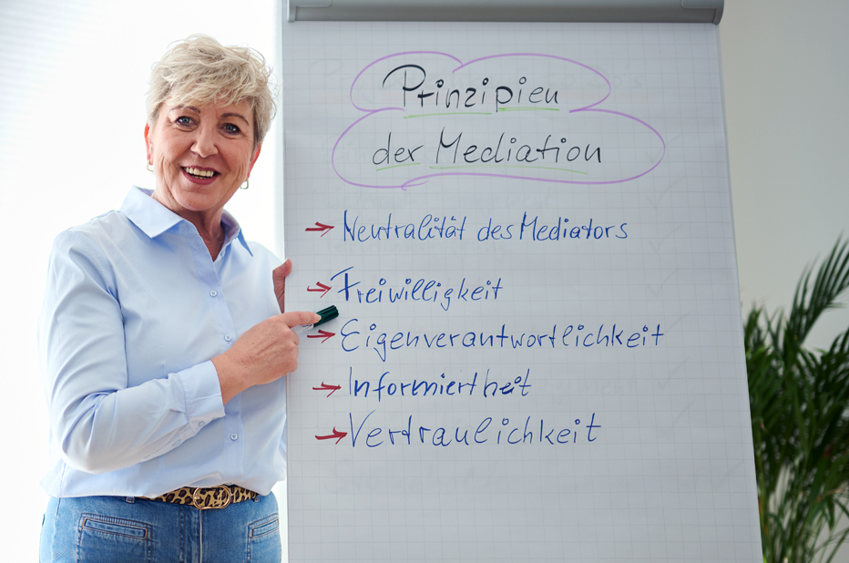 Future Solutions Purchasing GmbH & Co.KG